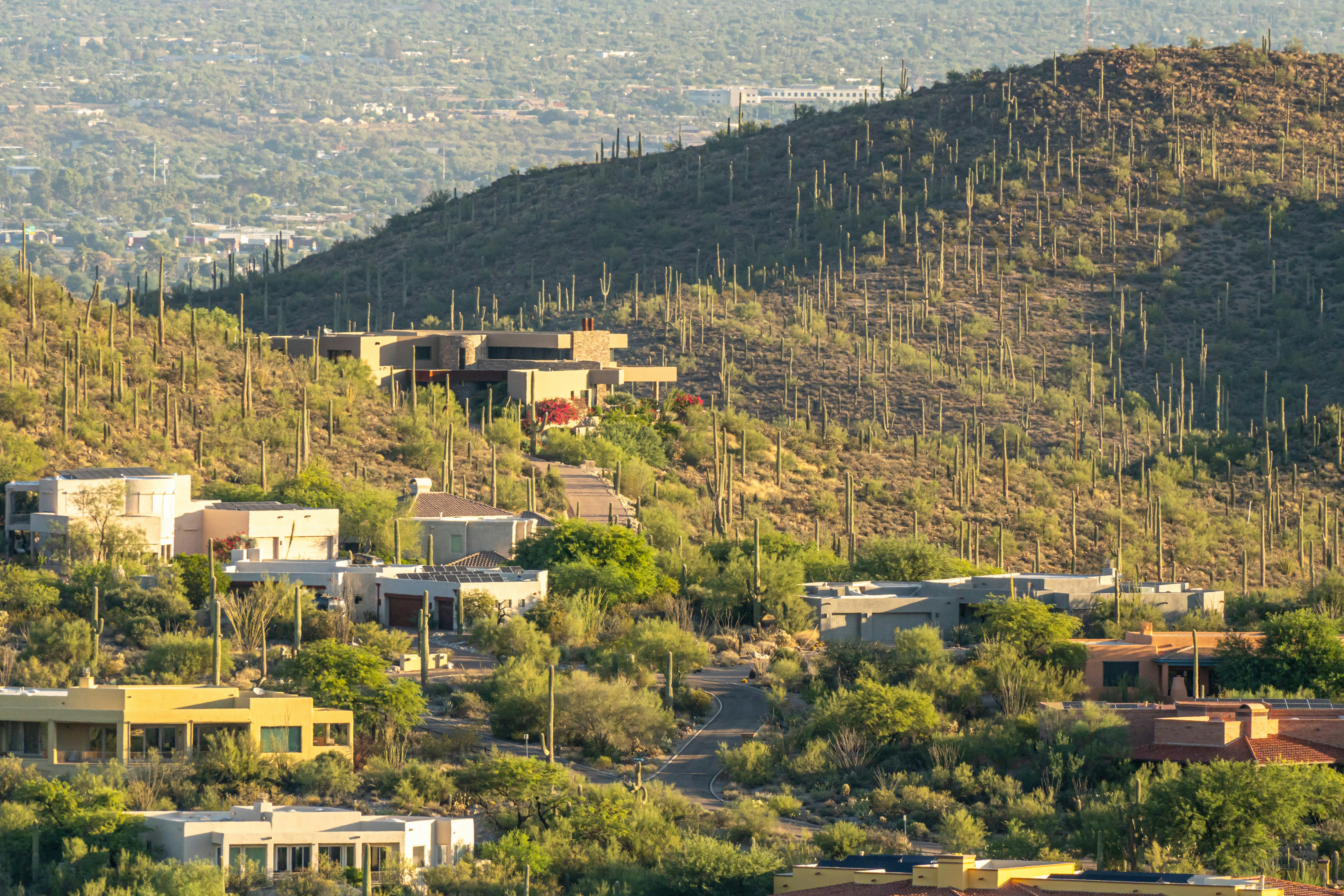 Understanding HOAs (Homeowners Associations)