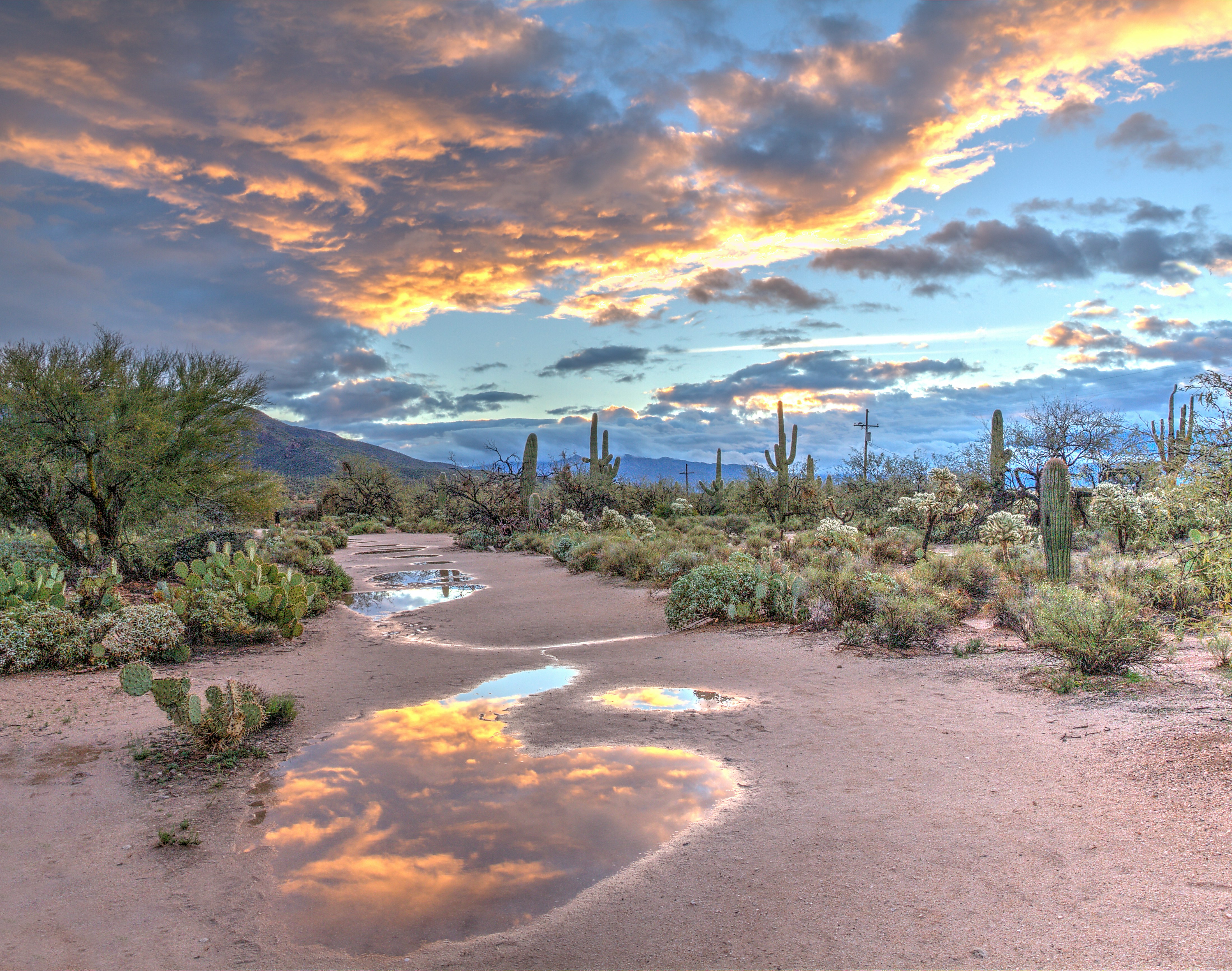 Relocating to Tucson?