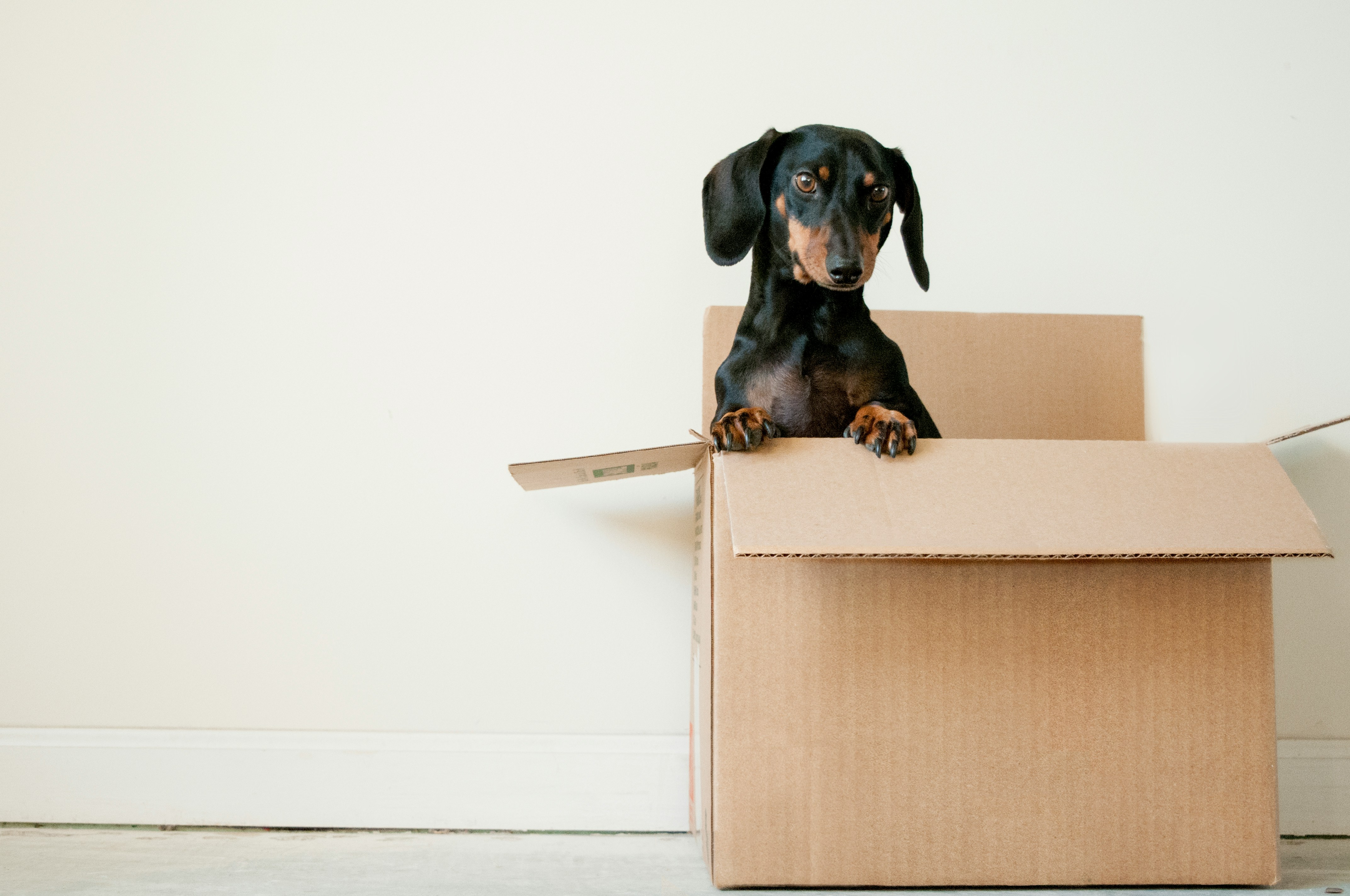 The Ultimate Moving Checklist