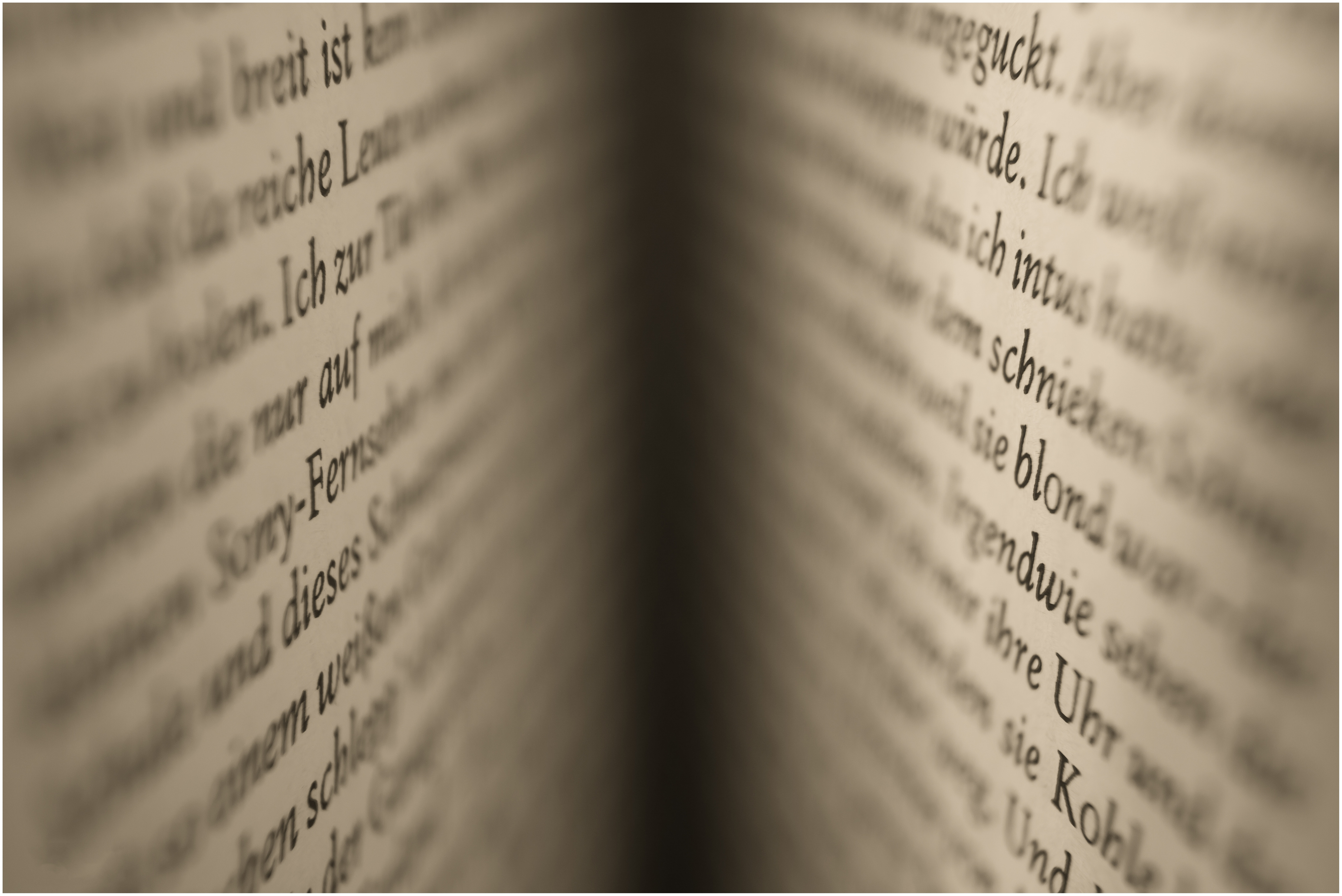 The Language of Real Estate Transactions